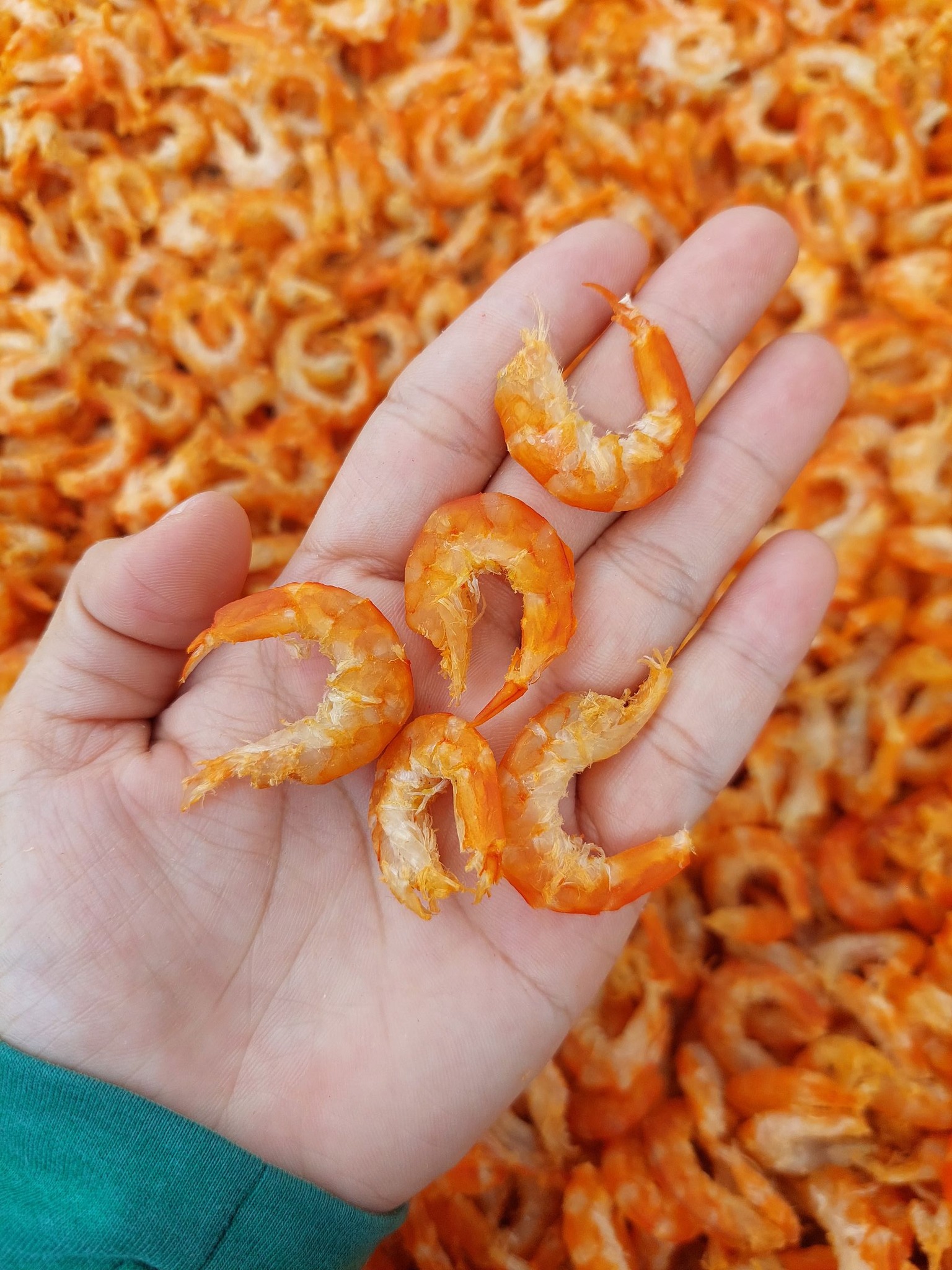 Tôm khô nõn nấu canh