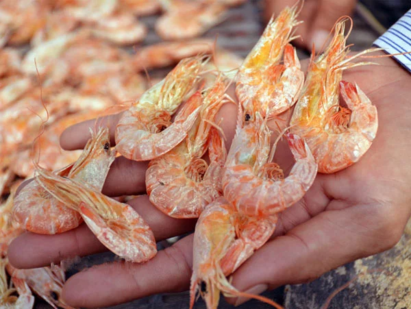 Tôm khô nguyên vỏ