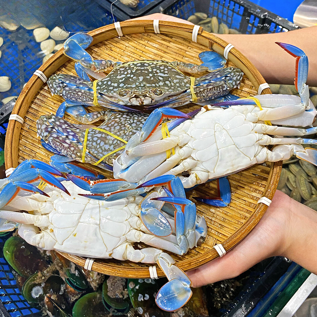 Ghẹ Xanh Sống 5-7 Con/kg