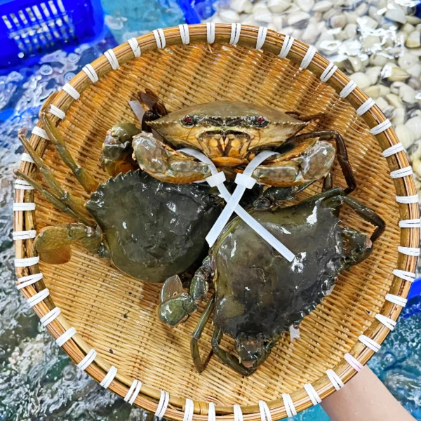 Cua gạch nhỏ - 4-5 con/kg (180gr-250gr)